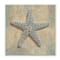 Stupell Industries Starfish Beach Objects Design Wood Wall Plaque